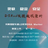 東盛上新丨DSRed無毒核酸凝膠染料/LD DNA Marker