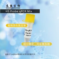 東盛上新丨探針法熒光定量PCR Mix - HS Probe qPCR Mix