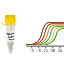 助力抗疫 東盛生物提供多種高品質(zhì)一步法RT-qPCR Mix