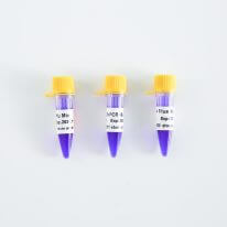 PCR Mix升級丨趁“熱啟動”，體驗升級