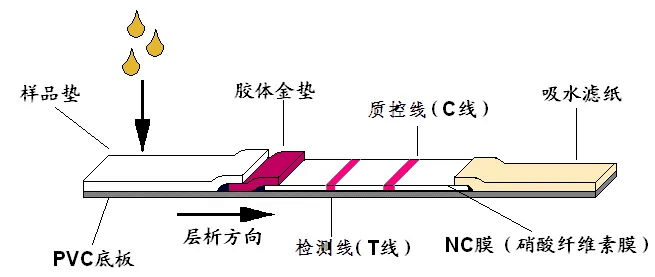 636dbbecddf50 636dbbecddf50