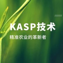 技術(shù)分享丨KASP：精準(zhǔn)農(nóng)業(yè)的革新者