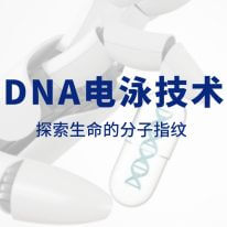 技術(shù)分享丨DNA電泳技術(shù)：探索生命的分子指紋