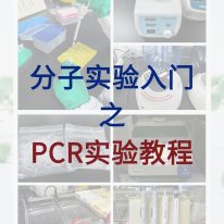 分子小白入門(mén)必學(xué)，完整的PCR實(shí)驗(yàn)教程