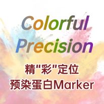 精 “彩” 定位：蛋白 Marker 助力蛋白質(zhì)研究