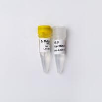 5X GDSlyo Multiplex Probe qPCR Mix Plus U P2721