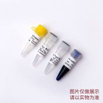 PCR開源教學(xué)試劑盒 P8031 P8032