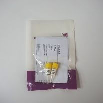 RT-kit(逆轉(zhuǎn)錄試劑盒)(R1011-R1012)