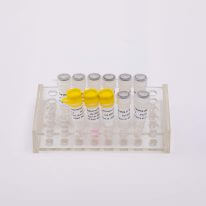V5001 V5002 一步法核酸檢測(cè)試劑盒 one-step RT-qPCR Kit