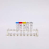 RT-PCR Mix for qPCR（預(yù)混型逆轉(zhuǎn)錄試劑盒）R1031