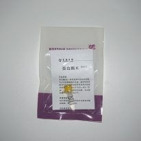 蛋白酶 K(N9011)