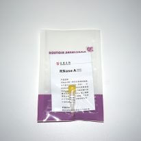 內(nèi)切核糖核酸酶 RNase A(N9041-N9042)
