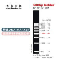 500bp Ladder DNA Marker M1251/M1252