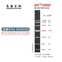 DS10000 DNA Marker M1221/M1222