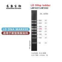 LD 50bp Ladder DNA Marker LM1041/LM1042