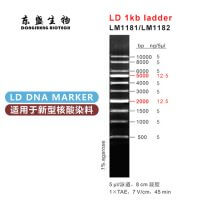 LD 1kb Ladder DNA Marker LM1181/LM1182