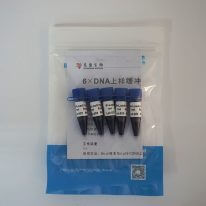 6×DNA上樣緩沖液(M9041)