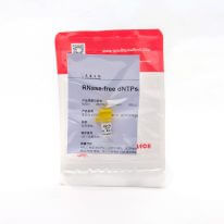 RNase-free dNTPs（R2051） dATP、dTTP、dCTP、dGTP的等摩爾混合物。