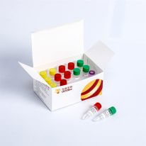Fast DNA Library Prep Kit快速DNA建庫(kù)試劑盒 K001-A K001-B