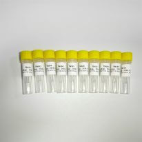 NGS轉座酶建庫擴增引物TN Primer Index List-A K211-A