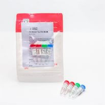 HS Hotstart Taq Polymerase P1091
