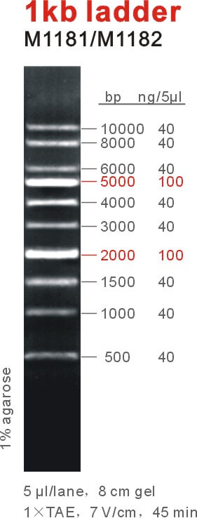 6449ef5857c00
