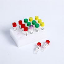 Fast DNA Library Prep Kit V2 K001S-A K001S-B
