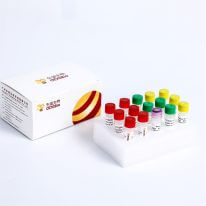 Fast DNA Library Prep Kit for MGI KM001-A KM001-B