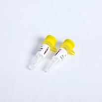 Super TaqPlus Green PCR Mix K034