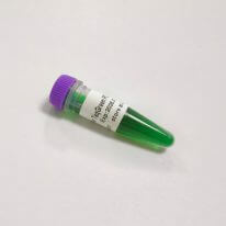 Super TaqGreen PCR Mix K033