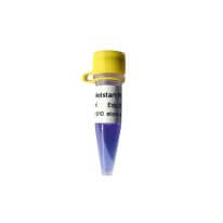 Hotstart Pfu Mix(P2051 P2052)