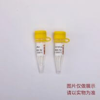 Power逆轉(zhuǎn)錄酶 R3011 R3012
