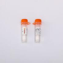 2X One Step Prime RT-qPCR Mix V5007/V5008